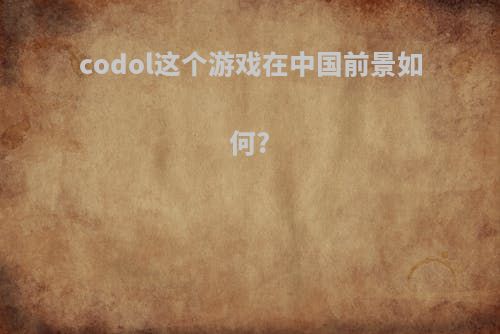 codol这个游戏在中国前景如何?