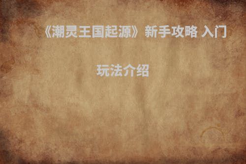 《潮灵王国起源》新手攻略 入门玩法介绍