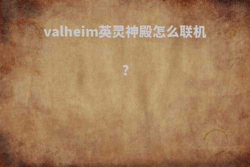 valheim英灵神殿怎么联机?
