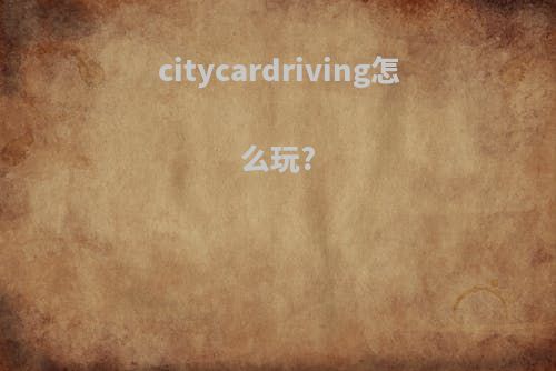citycardriving怎么玩?
