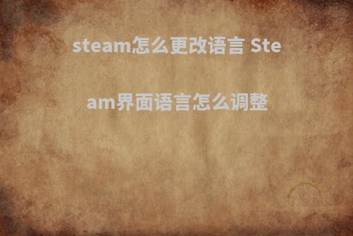 steam怎么更改语言 Steam界面语言怎么调整