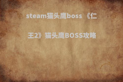 steam猫头鹰boss 《仁王2》猫头鹰BOSS攻略